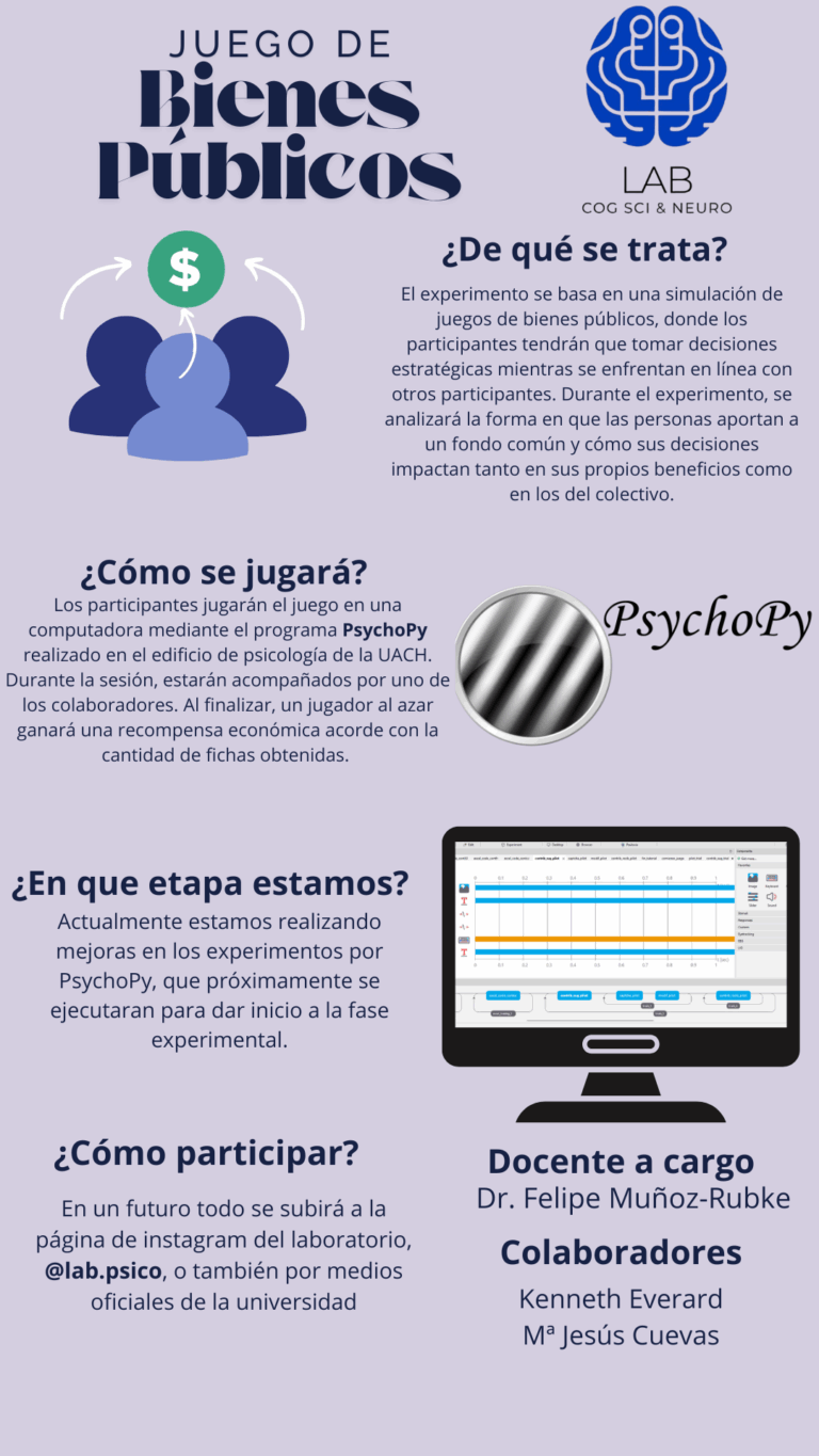 Póster del proyecto Juego de Bienes Públicos